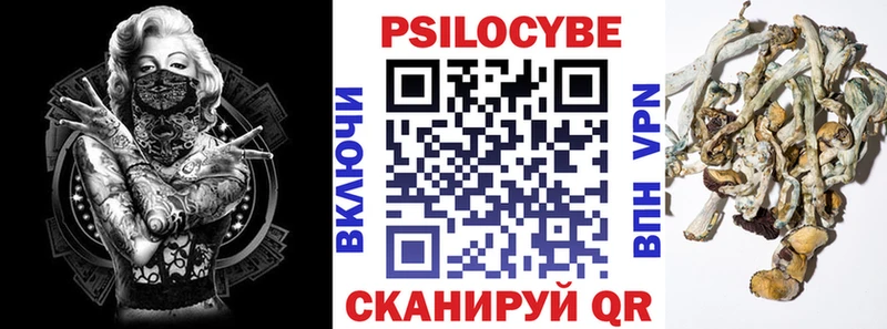 Псилоцибиновые грибы мухоморы  как найти   Бодайбо 